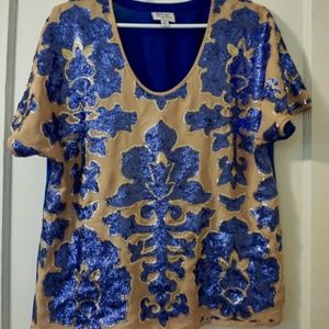 Blue Sequin Top